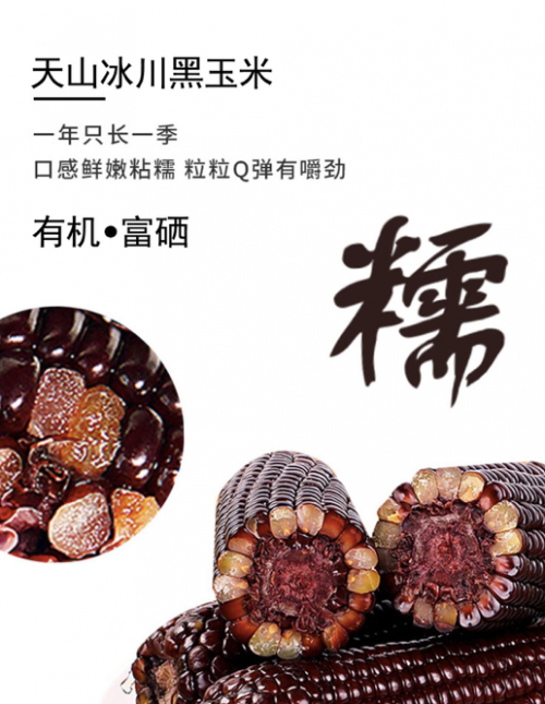 新疆三工滩:为绿色健康而来 为有机生态农业而来