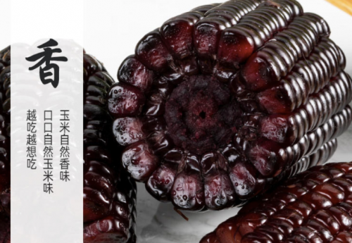 新疆三工滩:为绿色健康而来 为有机生态农业而来