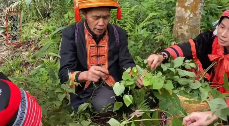 ���й���Ԯ�������ط�����ͷ�ƿ��ٴ󽡿���ҵ�·���