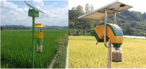 �������Ƽ����£��溦����+��ɫ���� ʵ�֡���ڶ�����������