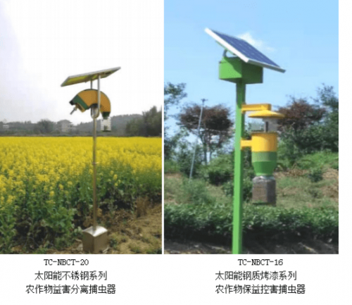 两会解码科技创新|益害分离+绿色防控 实现“虫口夺粮”保丰收