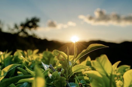 ���ϴ��ղ�ҵ�������ն����ػ����봫����