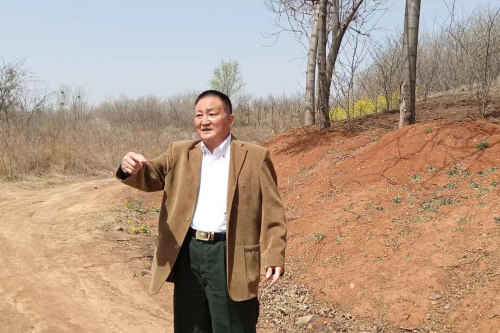 葛龙海荣获多项殊荣,不忘初心回馈家乡,荒山造林成新名片