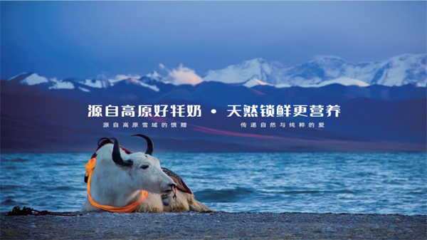 藏巴乳业|因为一句承诺,他在一个地方坚守了一辈子