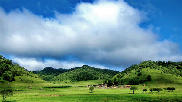 藏巴乳业|因为一句承诺,他在一个地方坚守了一辈子