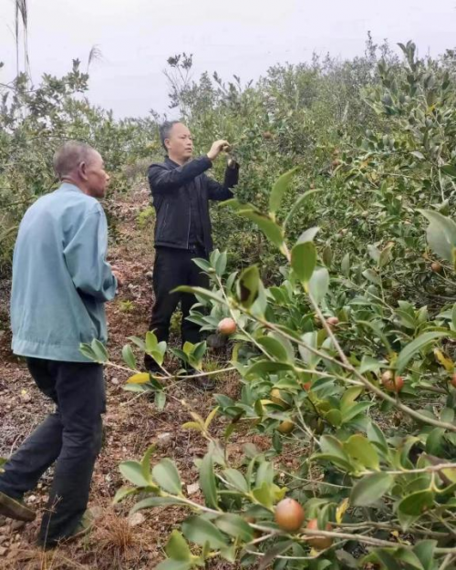 ��ά�ȣ�����֮�� �����������֮·