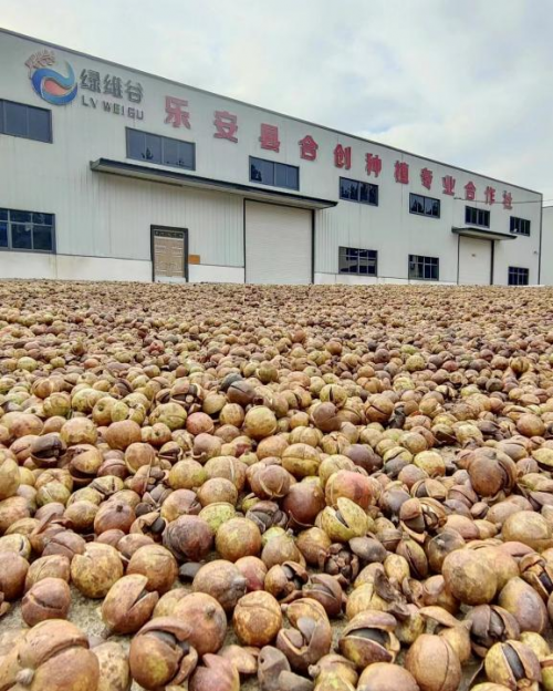 ��ά�ȣ�����֮�� �����������֮·