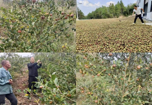 ��ά�ȣ�����֮�� �����������֮·