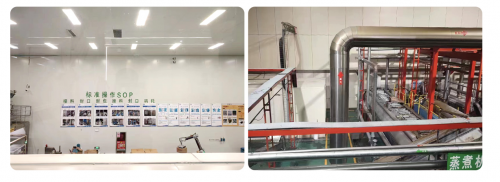 小萝卜头:匠心研发精品之选 为宠物健康护航