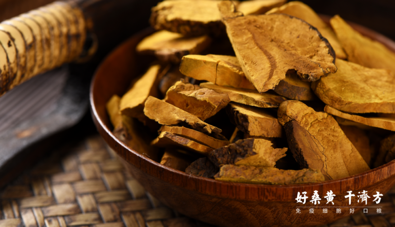 ǧ�÷��������ٴ��о���������ɣ�ƿ�������֤��ѭ��