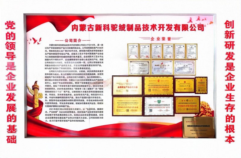 内蒙古新科驼绒 科技赋能 打造驼、羊绒高端家纺品牌 助力产业振兴