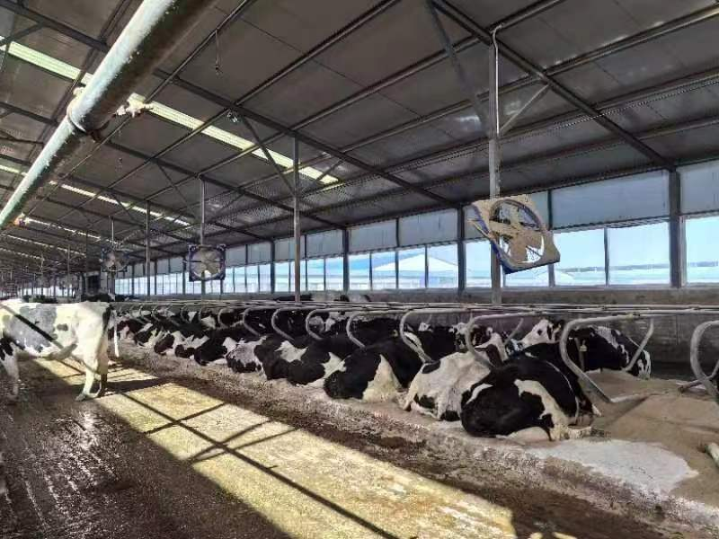 点击查看原始图片