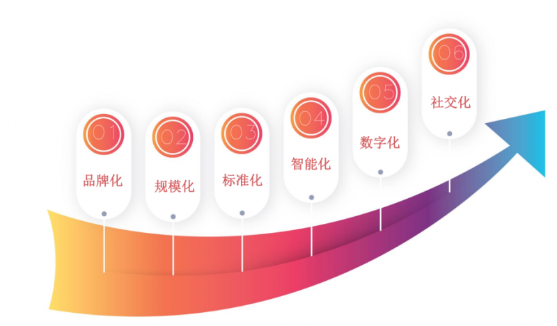 善养源:实力铸就品质,引领健康未来