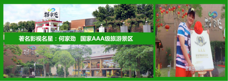 善养源:实力铸就品质,引领健康未来