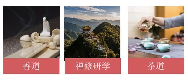 善养源:实力铸就品质,引领健康未来