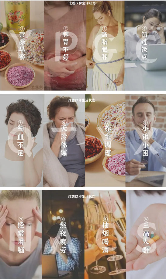 善养源:实力铸就品质,引领健康未来