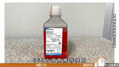 ��ͼ����