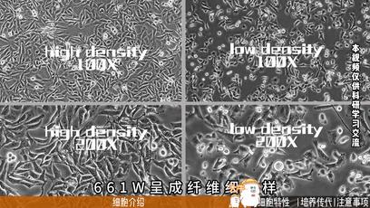 ��ͼ����