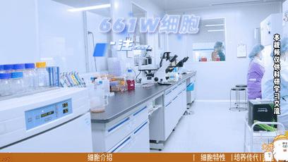 ��ͼ����