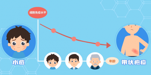 黄文慧:深化带状疱疹科普,共筑全民健康意识