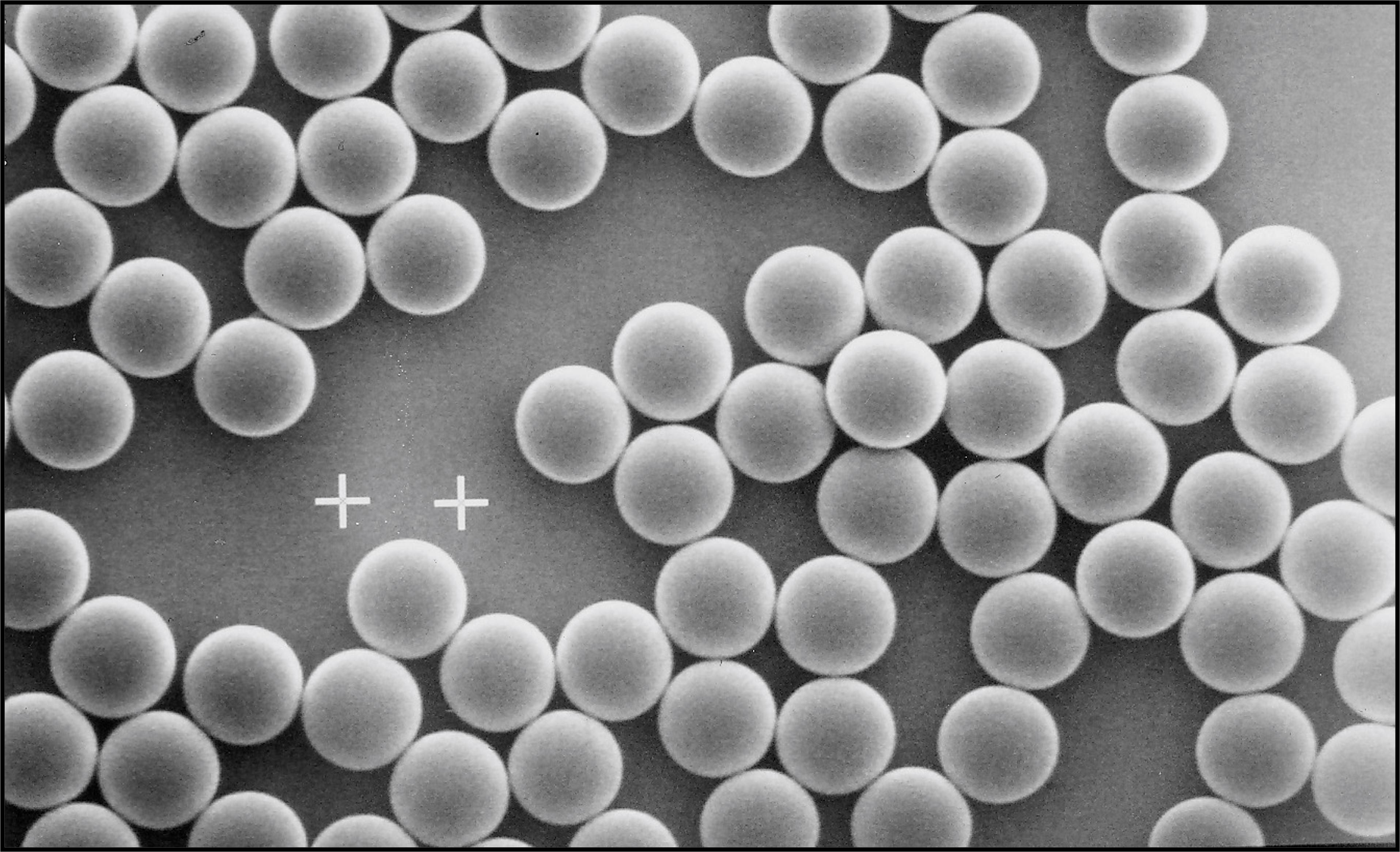 ����ܽ��������ʱ�⣬�����沿���ữ�·���