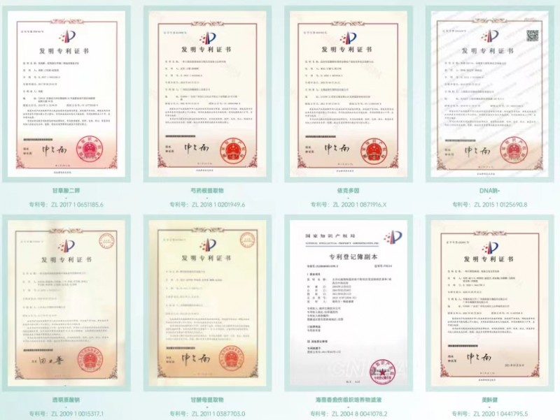 ���������۽�����������Ƥ�������⡱��