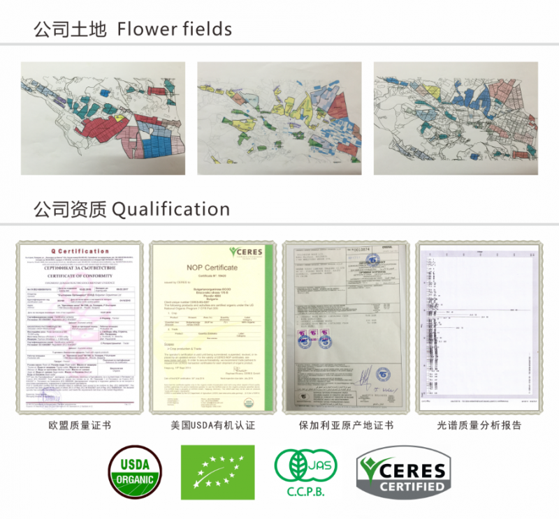 揭秘!柠檬女王王牌爆品保加利亚玫瑰纯露的溯源之旅