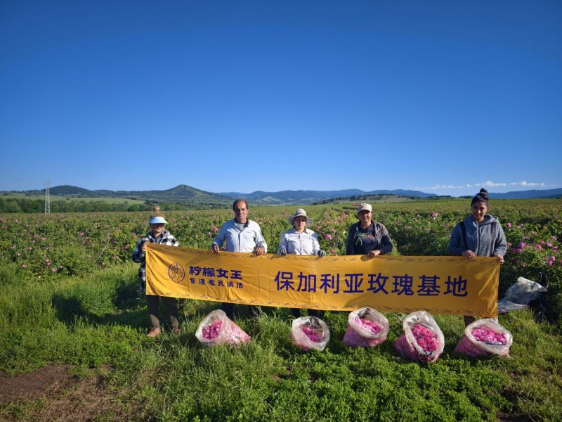揭秘!柠檬女王王牌爆品保加利亚玫瑰纯露的溯源之旅