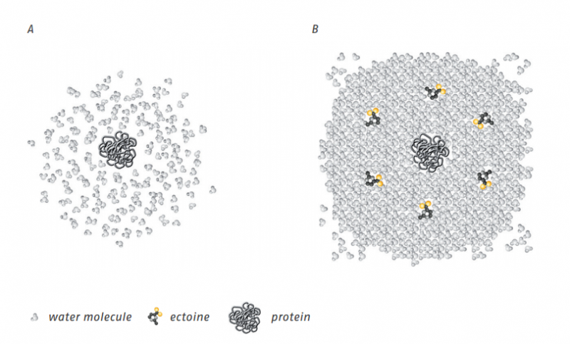 熙正霖生物高产依克多因