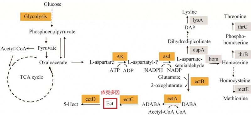熙正霖生物高产依克多因