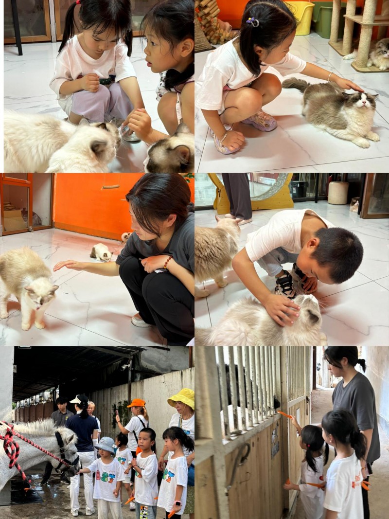 深圳佰石特石业集团2024年“筑梦同行·爱在心中”亲子夏令营圆满落幕