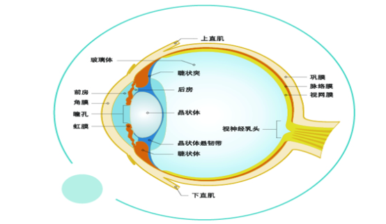 ����鿴ԭʼͼƬ