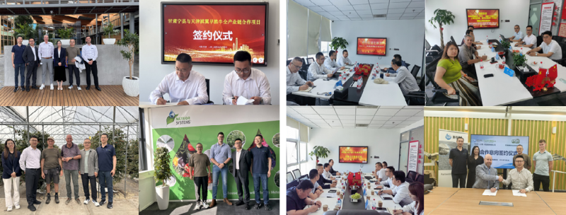 ����鿴ԭʼͼƬ