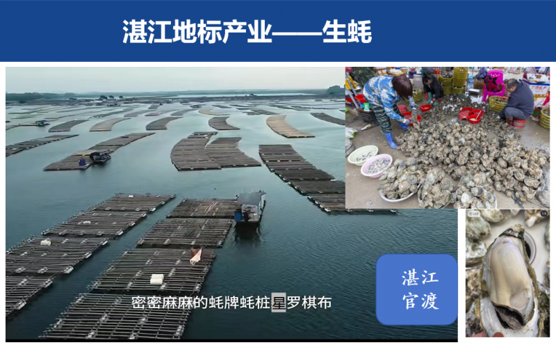 ���麣�󣺿��غ���󽡿���ҵ��·��������տ�����������Ʒ��