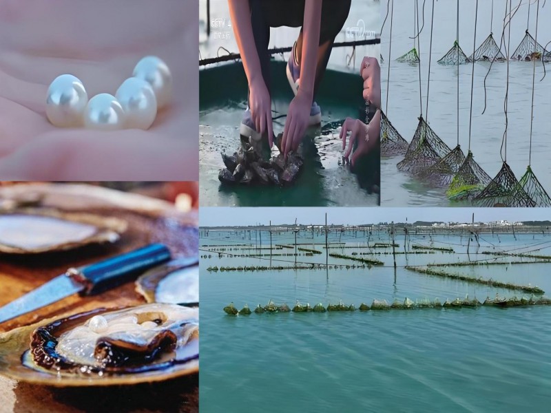 ���麣�󣺿��غ���󽡿���ҵ��·��������տ�����������Ʒ��