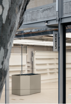 优时颜杜乐:科学与人文双轨进化