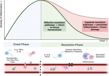 优时颜杜乐:科学与人文双轨进化