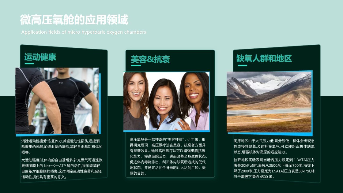 ��Ļ��ͼ 2024-09-03 113339