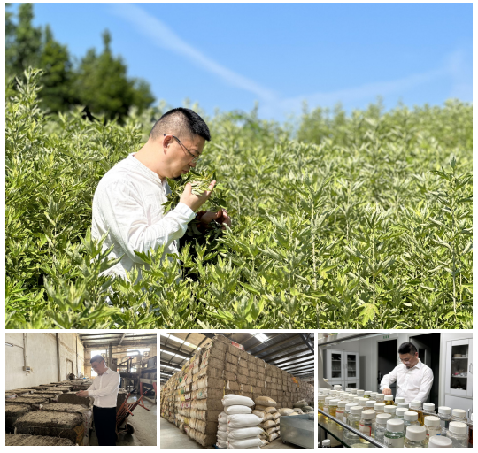 双展联动,灸大夫智能天灸舱助力科技艾灸新潮流