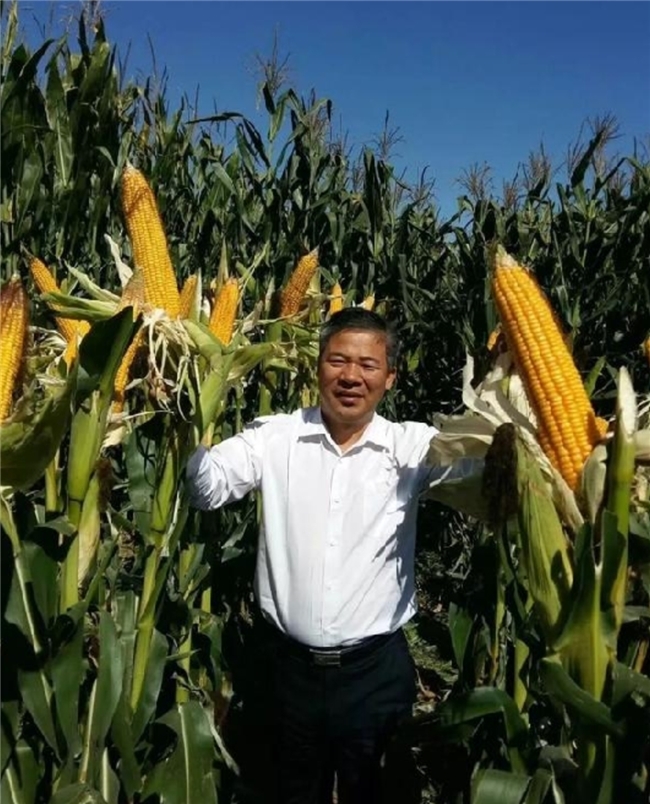 点击查看原始图片