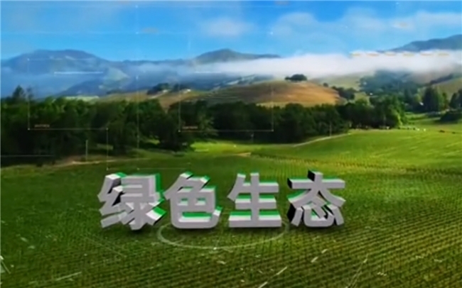 点击查看原始图片