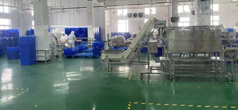 ȫ��Ӫ�����谮�����������˳������׽�Ƭ��ռ����Ӫ���г��»���