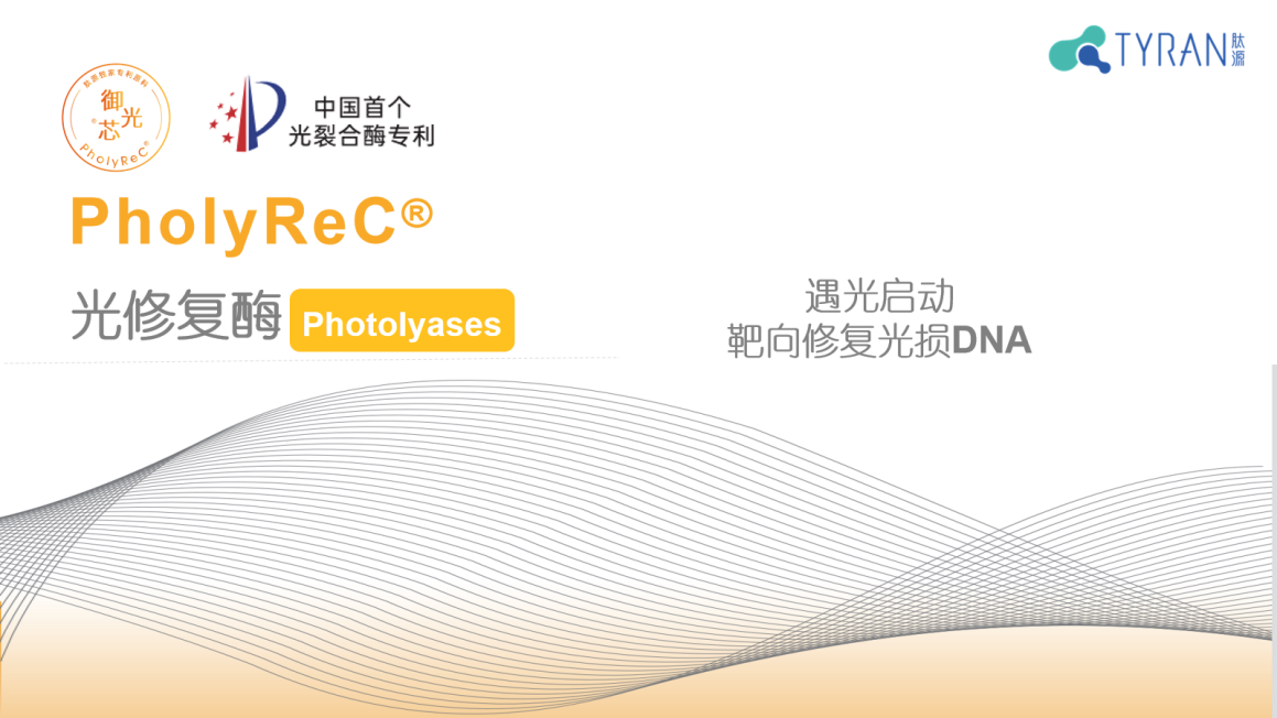 1729672038846354.png 1729672038846354.png