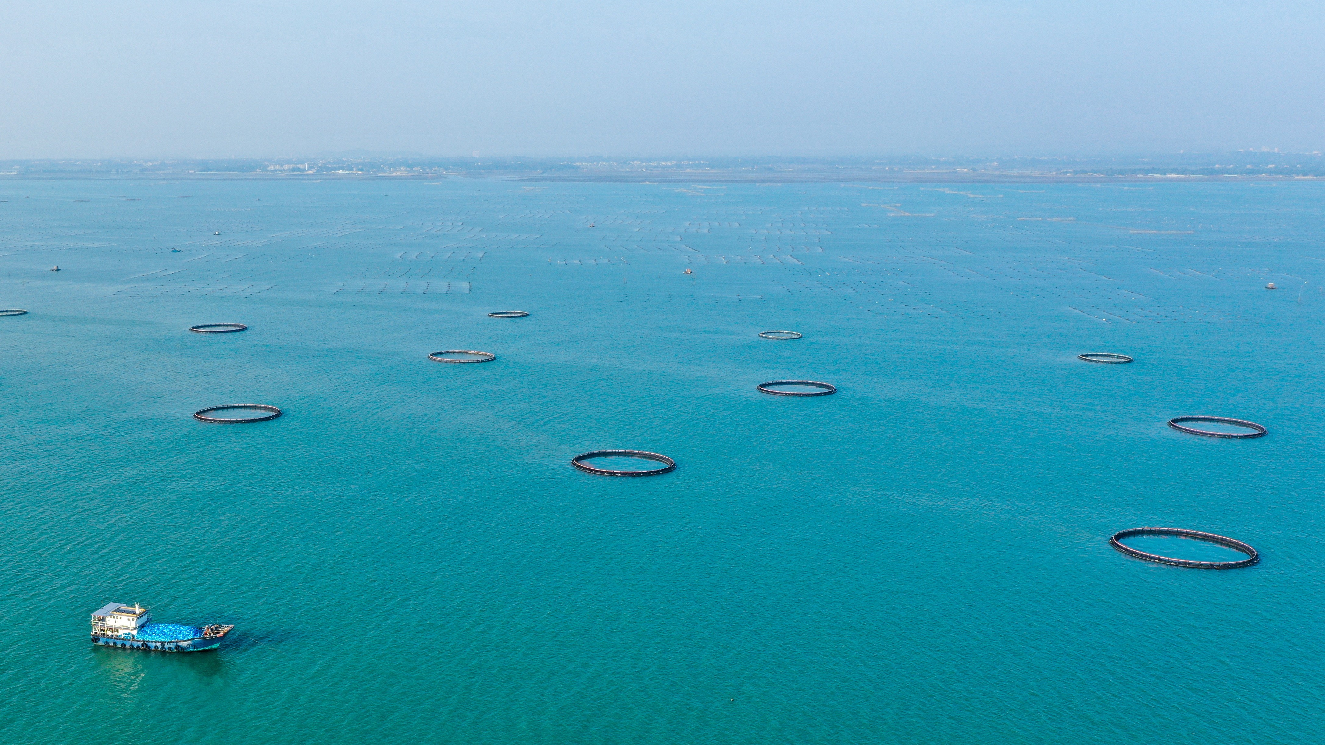 1729936538830730.jpg 1729936538830730.jpg