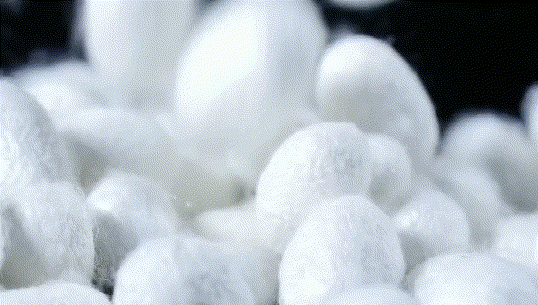 ��Ȼ�ǻ���ͩҶ�����˿���������콡���·���