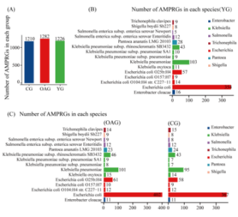 1730430889119236.png b9e51005e3f04ab19f66be6d183091b2_20241031211155814912899.png