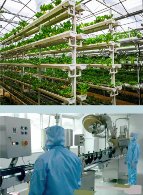 养生新潮下,清心堂如何携手加盟商打造新中式茶饮新范本?