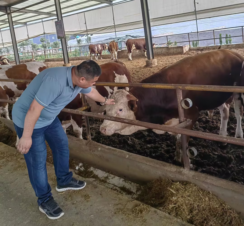 金牧缘生物:点“土”成金-高效养殖中的新质生产力