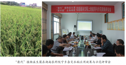 康代生物陈明仁;以康代菌破局,打造绿色农业“中国芯”