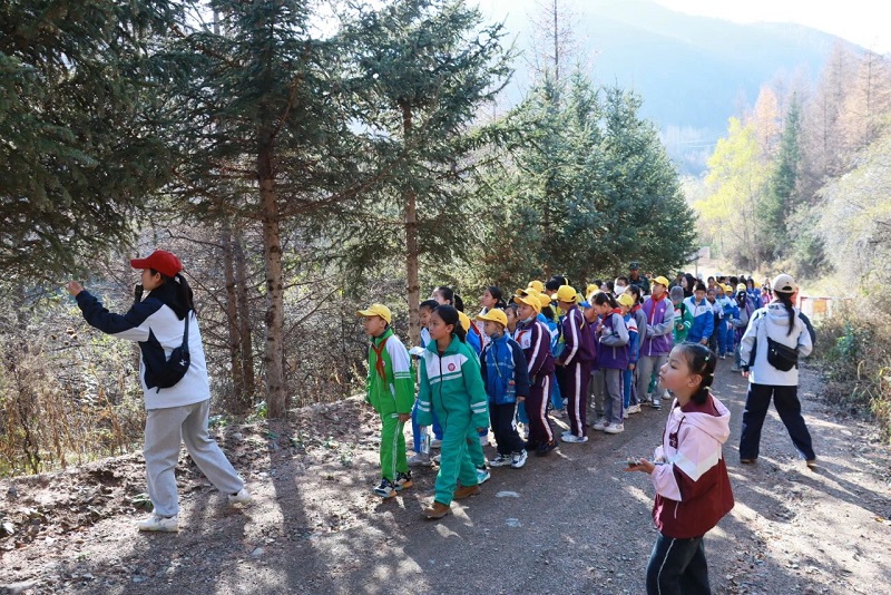 1731028053198415.png image.png